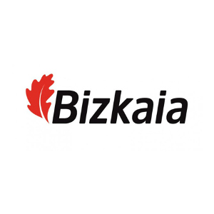 Diputacion Bizkaia W300x300